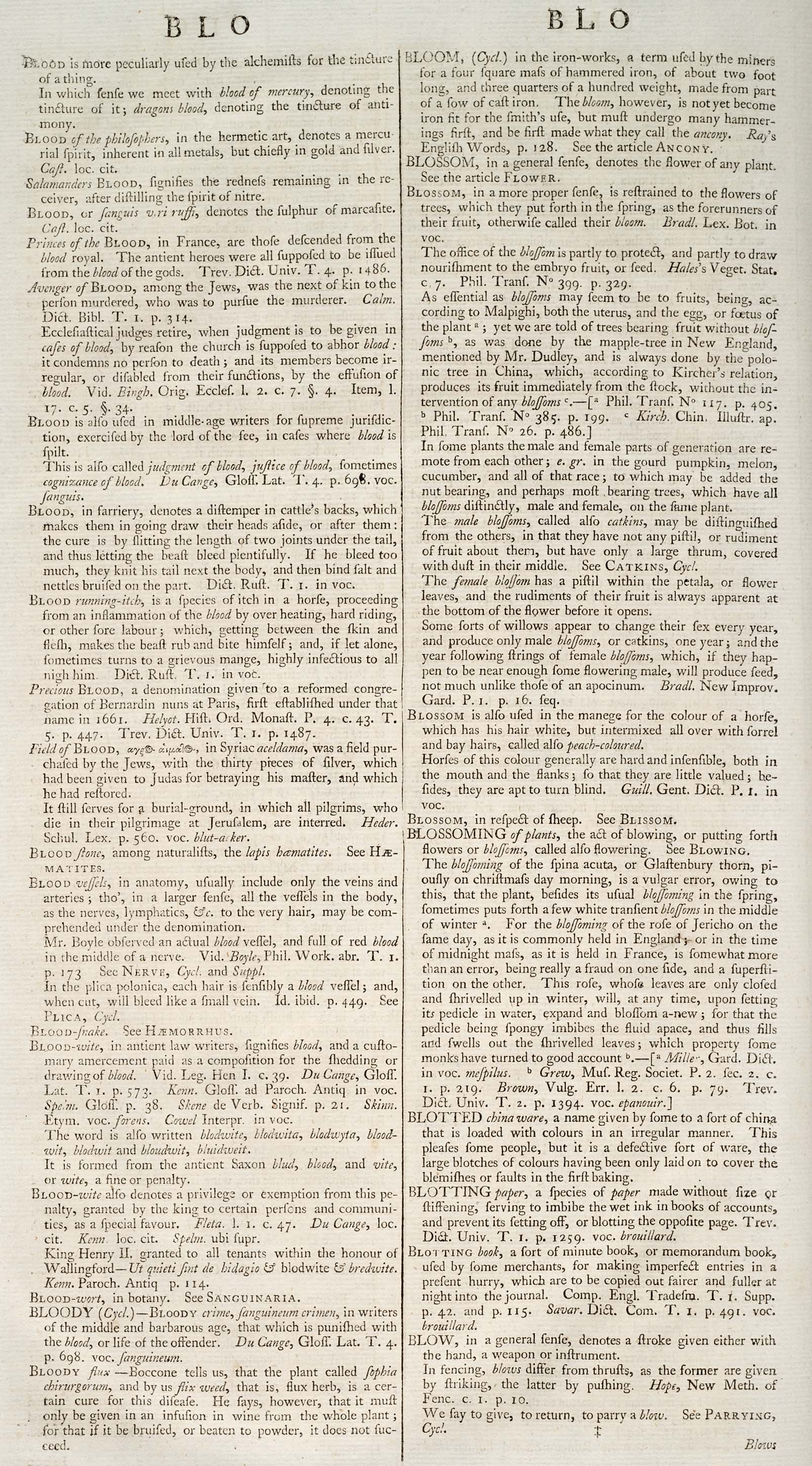 BLOSSOMING of plants