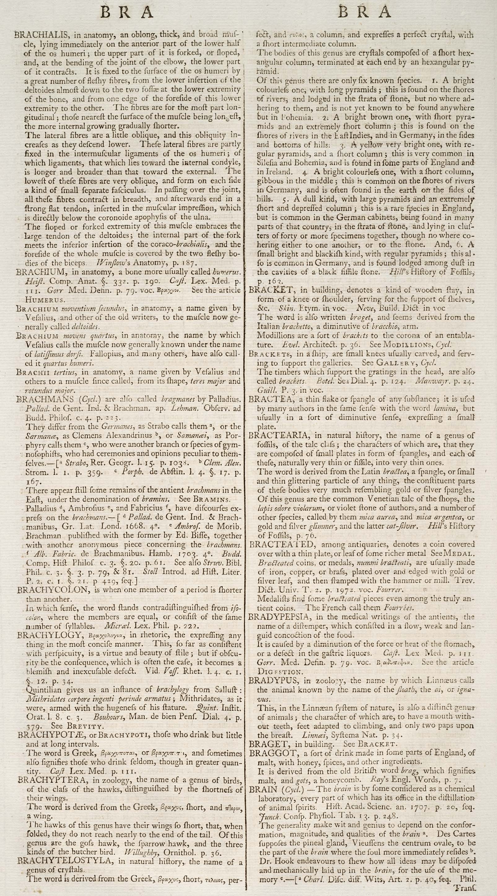 BRACHYLOGY