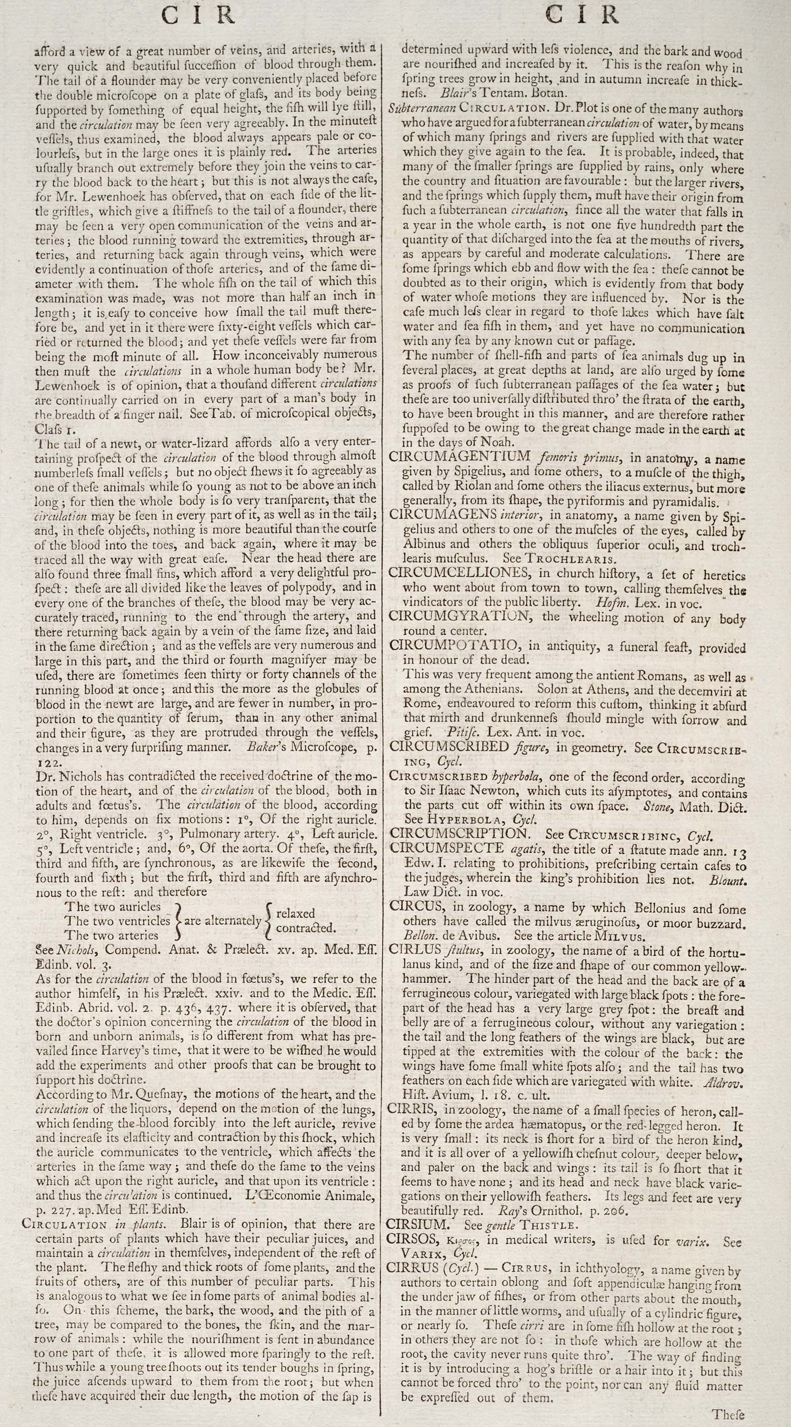 CIRCUMSCRIBED figure