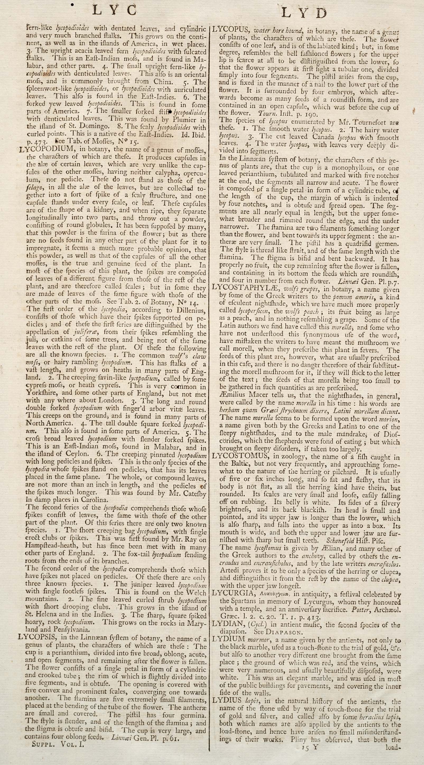 LYCOPODIUM
