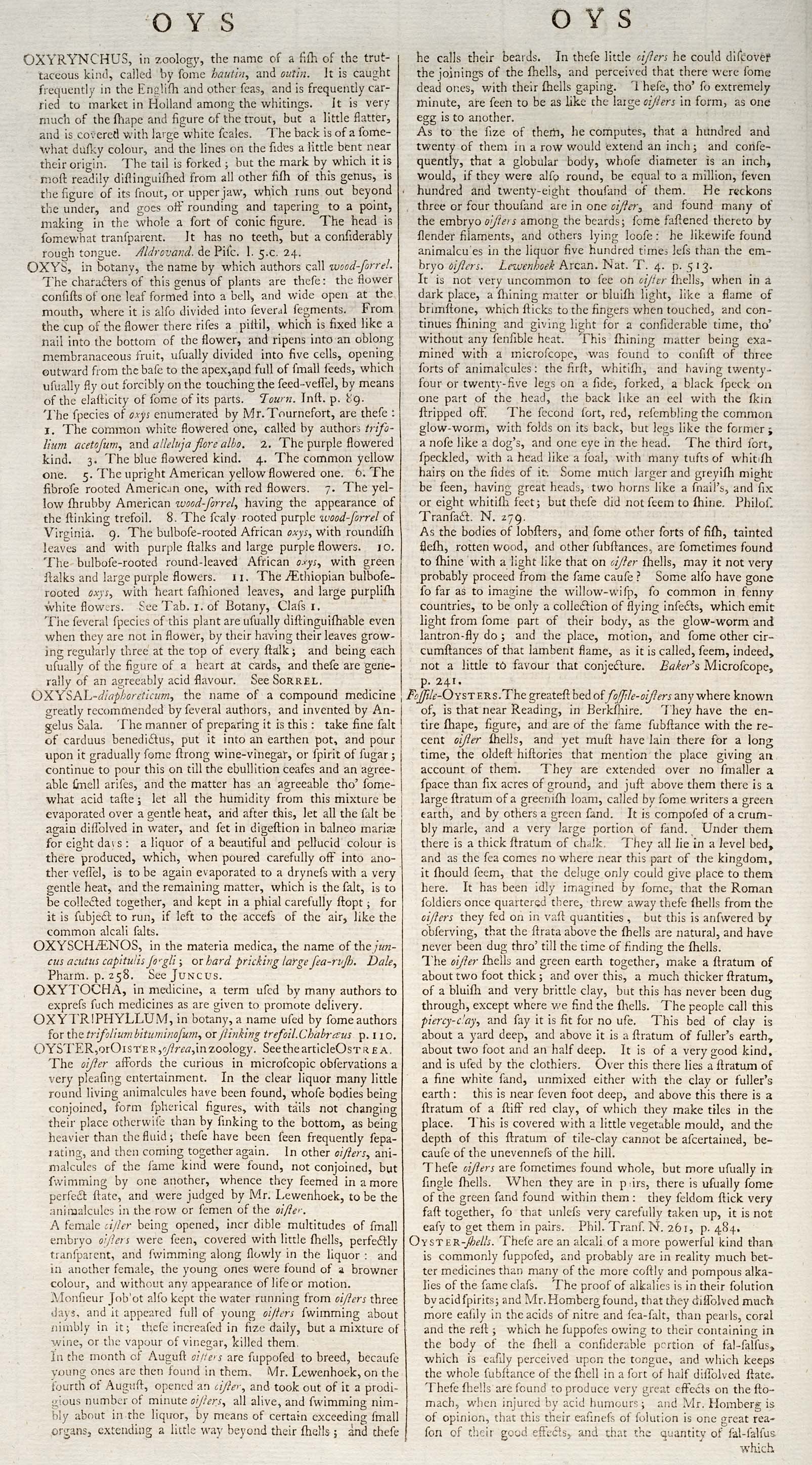 OXYSAL-diapboreiicum