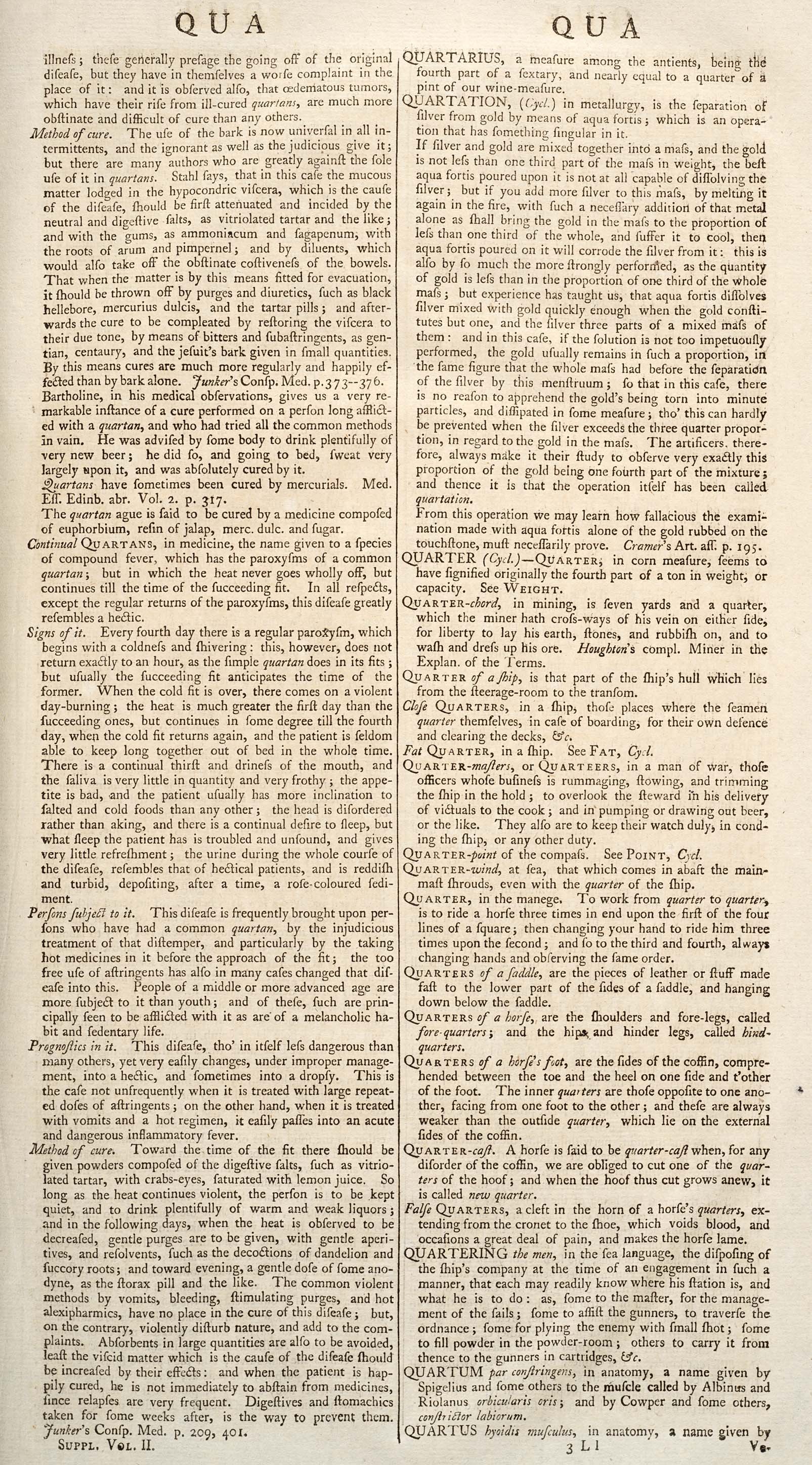 QUARTUS hyoidis muscuhs