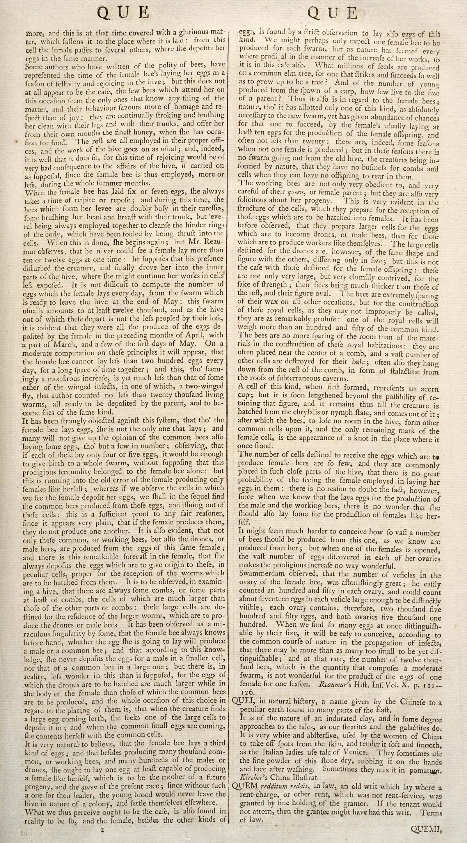 QUEM redditum reddit